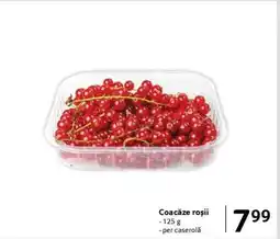 Selgros Coacăze roșii Ofertă