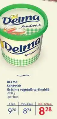 Selgros DELMA Sandwich Ofertă