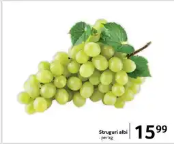 Selgros Struguri albi Ofertă