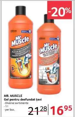 Selgros MR. MUSCLE Ofertă