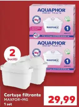 Kaufland Cartuşe filtrante MAXFOR+MG Ofertă