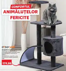 Kaufland Ansamblu de joacă pentru pisici Ofertă