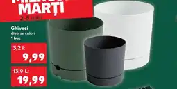 Kaufland Ghiveci Ofertă