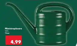 Kaufland Ministropitoare Ofertă