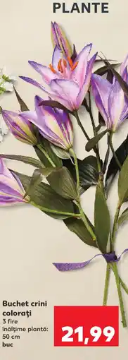 Kaufland Buchet crini coloraţi Ofertă