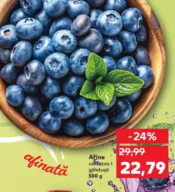 Kaufland Afine Ofertă