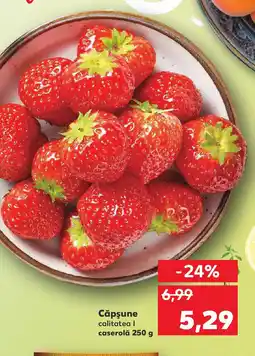 Kaufland Căpşune Ofertă