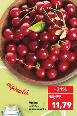 Kaufland Vişine Ofertă
