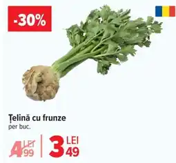 Carrefour Telină cu frunze Ofertă