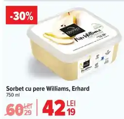 Carrefour Sorbet cu pere Williams, Erhard Ofertă