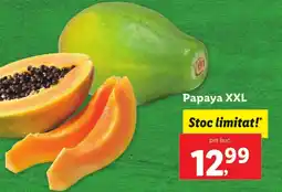 Lidl Papaya XXL Ofertă