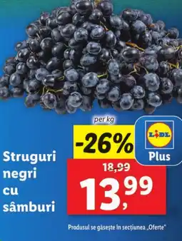 Lidl Struguri negri cu sâmburi Ofertă
