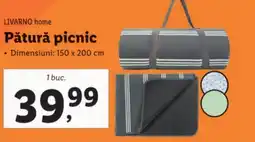 Lidl LIVARNO home Pătură picnic Ofertă