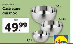 Lidl SILVERCREST Castroane din inox Ofertă
