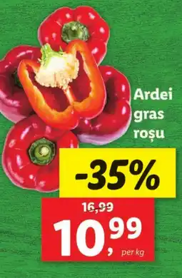 Lidl Ardei gras roşu Ofertă