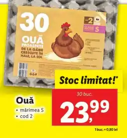 Lidl Ouă Ofertă