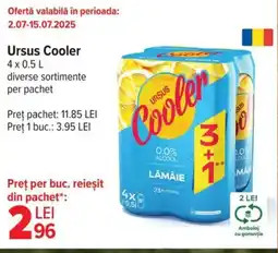 Carrefour Market Ursus Cooler Ofertă