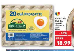Kaufland AVIPUTNA Ouă din ogradă Ofertă