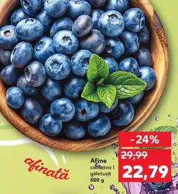Kaufland Afine Ofertă