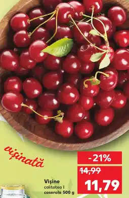 Kaufland Vişine Ofertă