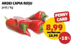 Penny Ardei capia roşu Ofertă