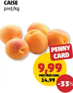 Penny Caise Ofertă
