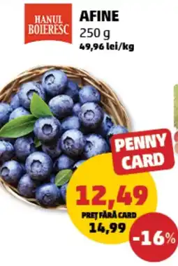 Penny Afine Ofertă