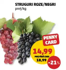 Penny Struguri roze/negri Ofertă