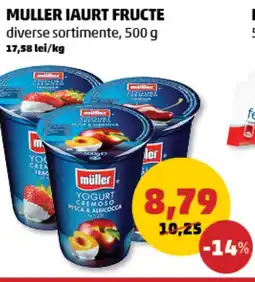 Penny Muller iaurt fructe Ofertă