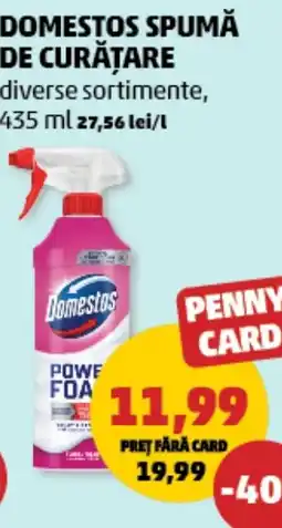 Penny Domestos spumă de curățare Ofertă