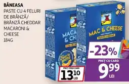 Auchan Băneasa paste cu 4 feluri de brânză/ brânză cheddar macaroni & cheese Ofertă