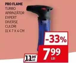 Auchan Pro Flame turbo aprinzător expert Ofertă