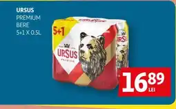 Auchan Ursus Premium bere Ofertă