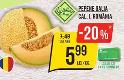 Mega Image Pepene galia cal. I, românia Ofertă