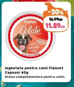 Animax Inghetata pentru caini Fidovet Capsuni Ofertă