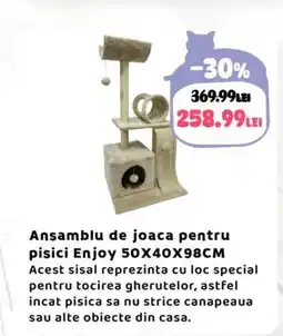Animax Ansamblu de joaca pentru pisici Enjoy Ofertă