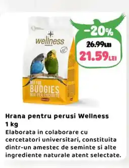 Animax Hrana pentru perusi Wellness Ofertă