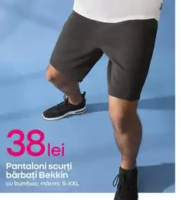 Pepco Pantaloni scurţi bărbaţi Bekkin Ofertă