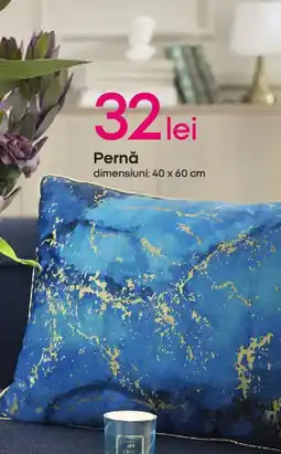 Pepco Pernǎ Ofertă