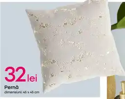 Pepco Pernǎ Ofertă