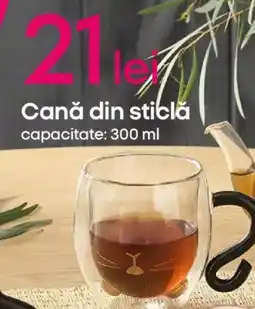 Pepco Cană din sticlă Ofertă