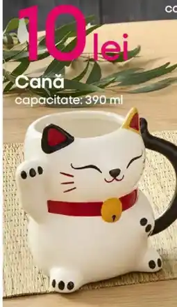Pepco Cană Ofertă