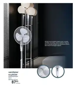 Brico Depôt Ventilator cu picior Ofertă