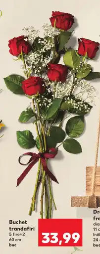 Kaufland Buchet trandafiri Ofertă