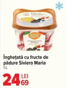Carrefour Market SIVIERO MARIA Înghețată cu fructe de pădure Ofertă