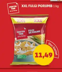 Penny PENTRU TINE Xxl fulgi porumb Ofertă