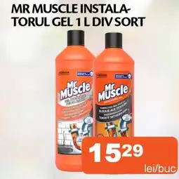 Unicarm Mr muscle instala- torul gel Ofertă