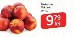 Supeco Nectarine Ofertă