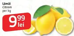 Supeco Lămâi Ofertă