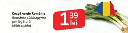 Supeco Ceapă verde România Ofertă